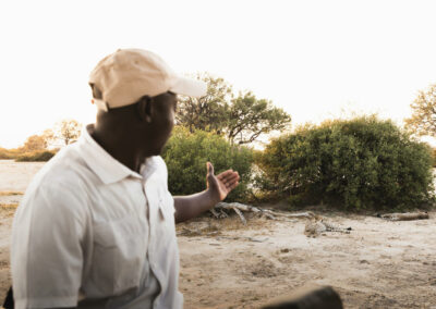 Waterhole Wildlife Viewing