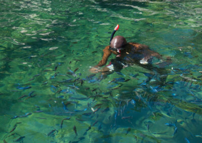 Snorkeling & Freshwater Diving
