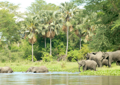 Lilongwe Wildlife Centre Visit