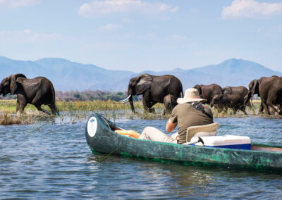 Canoeing Safaris