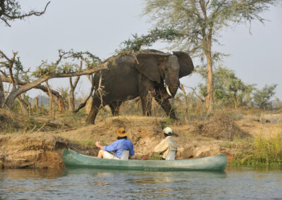 Canoeing Safaris