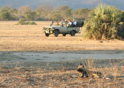 Floodplain Game Drives
