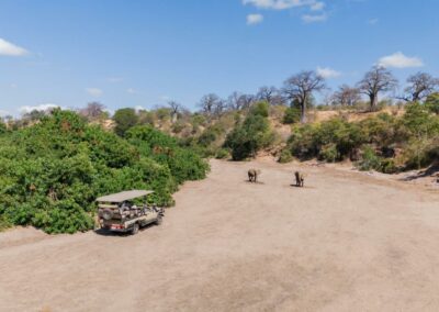 Floodplain Game Drives