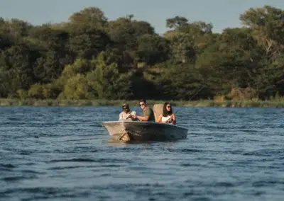 Boat Safaris