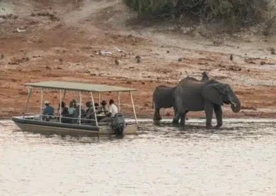 Boat Safaris