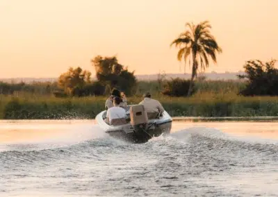 Boat Safaris