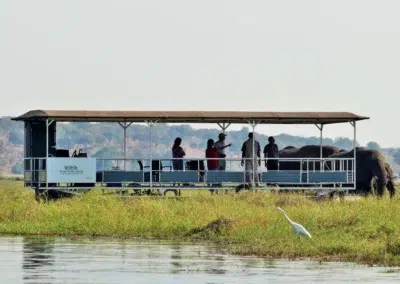 Birding & Wetland Exploration