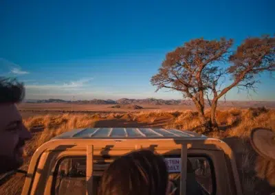 Game Drives in Riverine Landscapes