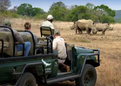 Big Game Game Drives