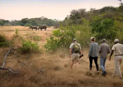 Scenic Conservation Exploration