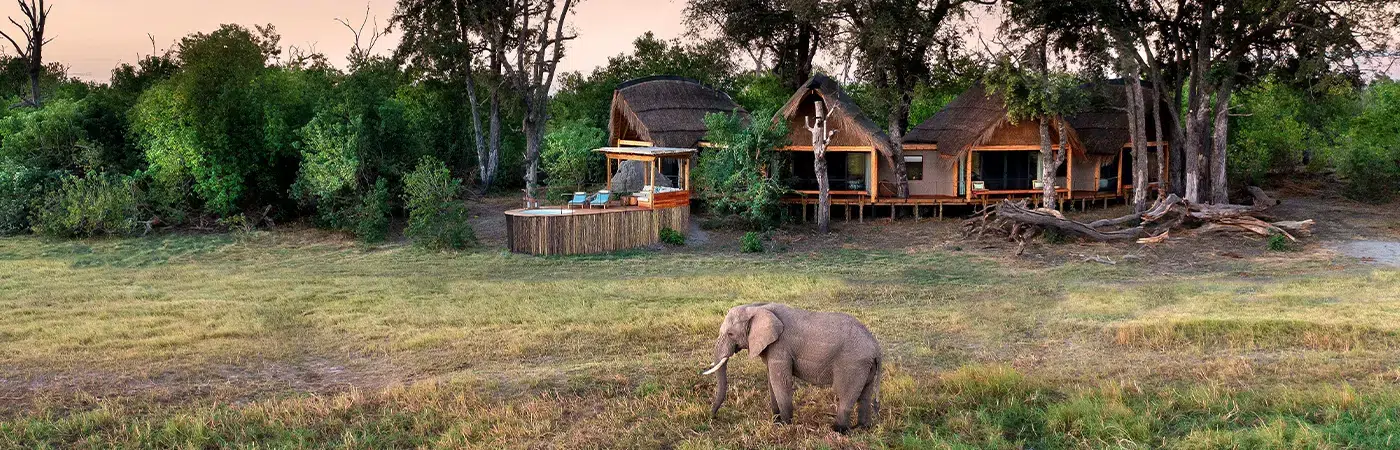 Botswana Safari