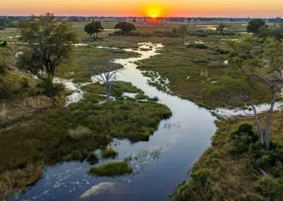 Classic Okavango Delta Safari with Adventures Africa