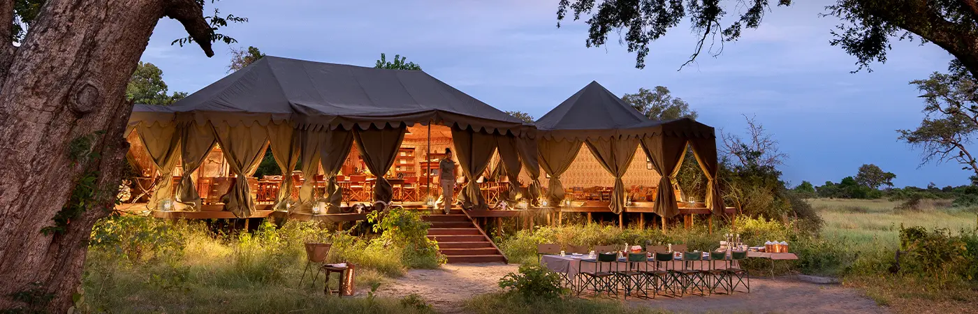 Botswana Safari